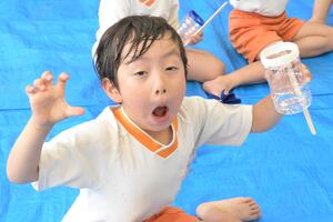 img_20250515-131311.jpg