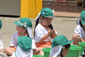 img_20250515-132312.jpg