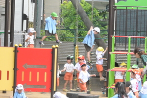 img_20250522-135222.jpg