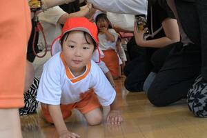 img_20250528-143217.jpg