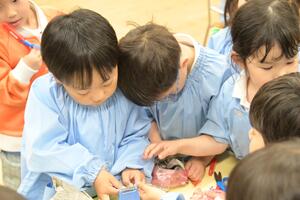 img_20250603-145712.jpg