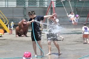 img_20250604-144235.jpg