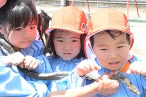 img_20250606-154253.jpg