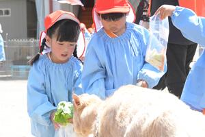 img_20250606-154311.jpg