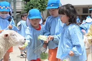 img_20250606-154557.jpg