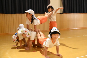 img_20250708-131132.jpg