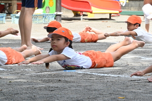 img_20250911-133306.jpg