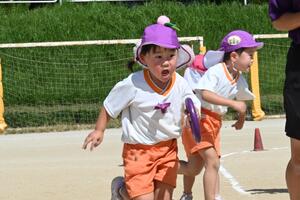 img_20250925-134704.jpg