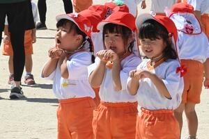 img_20250925-134712.jpg