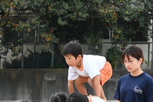img_20251003-150246.jpg