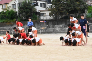 img_20251003-150300.jpg