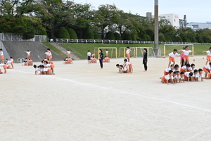 img_20251008-110300.jpg