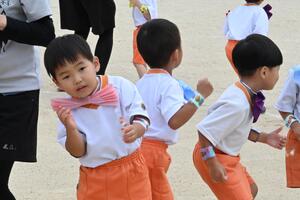 img_20251008-110812.jpg