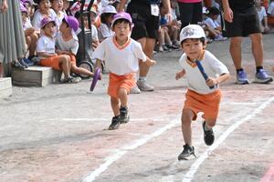 img_20251008-142545.jpg