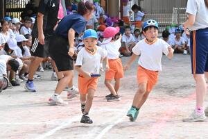 img_20251008-142800.jpg