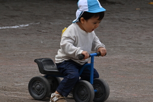 img_20251015-162241.jpg