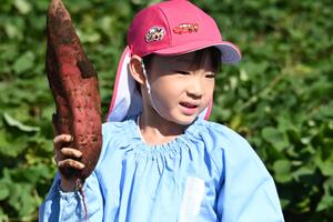 img_20251017-131418.jpg