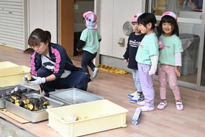 img_20251028-133407.jpg