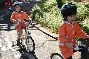 img_20251114-144256.jpg
