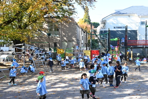 img_20251117-143526.jpg