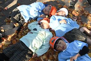 img_20251117-143553.jpg