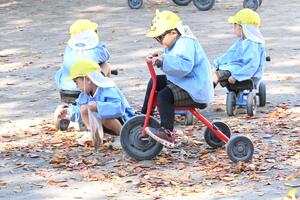 img_20251117-143615.jpg