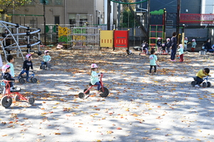img_20251117-143649.jpg