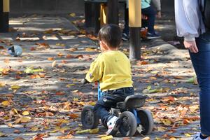 img_20251117-143719.jpg