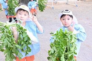 img_20251119-133218.jpg