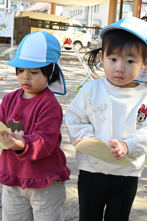 img_20251120-150003.jpg