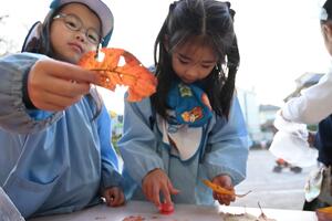 img_20251201-131314.jpg