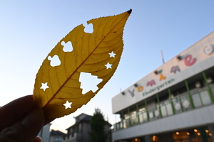 img_20251201-131334.jpg