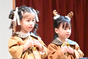 img_20251213-133413.jpg