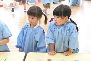 img_20260507-132433.jpg