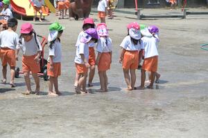 img_20260515-135600.jpg