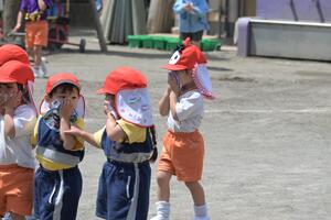 img_20260525-132332.jpg