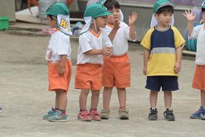 img_20260528-134503.jpg