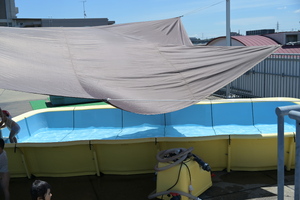 img_20260617-134235.jpg