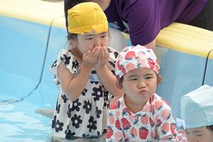 img_20260622-133146.jpg