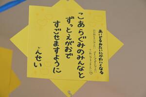 img_20260624-133707.jpg
