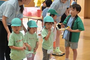 img_20260629-133517.jpg