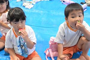 img_20260819-161919.jpg