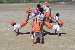 img_20260914-133527.jpg