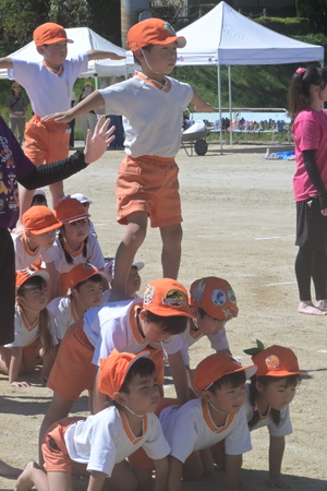 img_20260914-133556.jpg