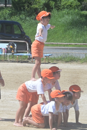 img_20260914-133619.jpg