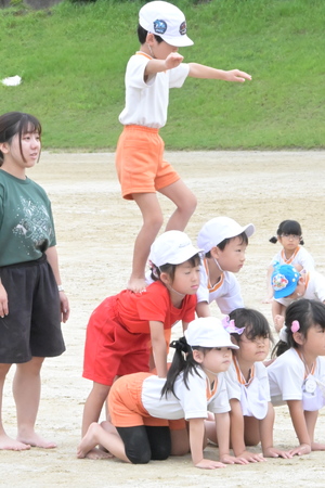 img_20260918-154335.jpg