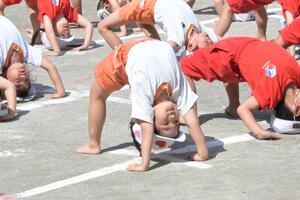 img_20260925-150042.jpg