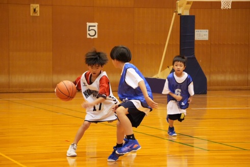 img_20241103-171533.jpg