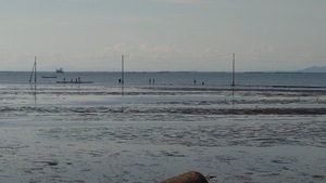 img_20240802-012758.jpg