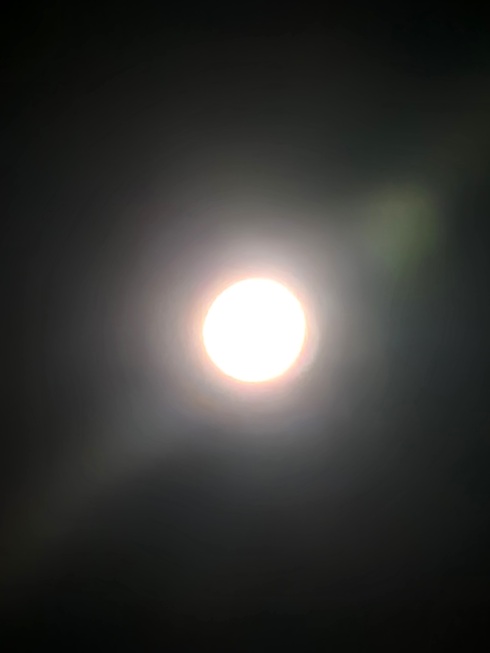 img_20240314-000606.jpg